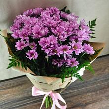 Букет цветов из:  Хризантемы #REPLACE_PRED# Подберезье
