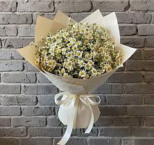 Букет цветов из:  Ромашки в Подберезье