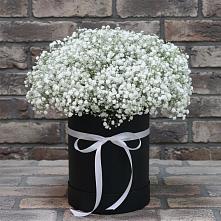 Цветочная композиция из Гипсофила в шляпной коробке в Подберезье