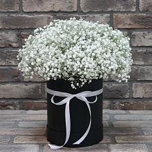 Цветочная композиция из Гипсофила в шляпной коробке в Подберезье