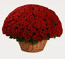 Премиум букет из: Розы #REPLACE_PRED# Подберезье